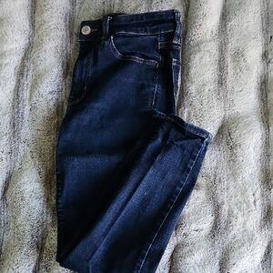American Eagle Outfitters Dark Blue Skinny Jeans- SHORT length